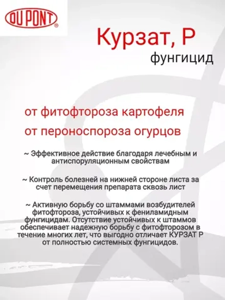 Курзат фунгицид 60 гр