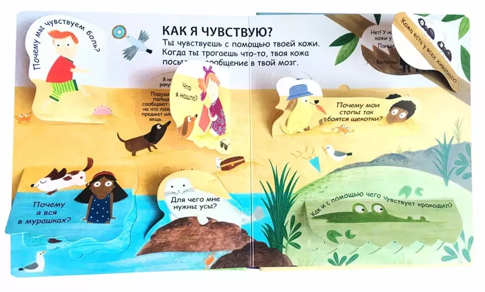 Самые первые окошки. 40 окошек. Как я вижу, слышу и чувствую