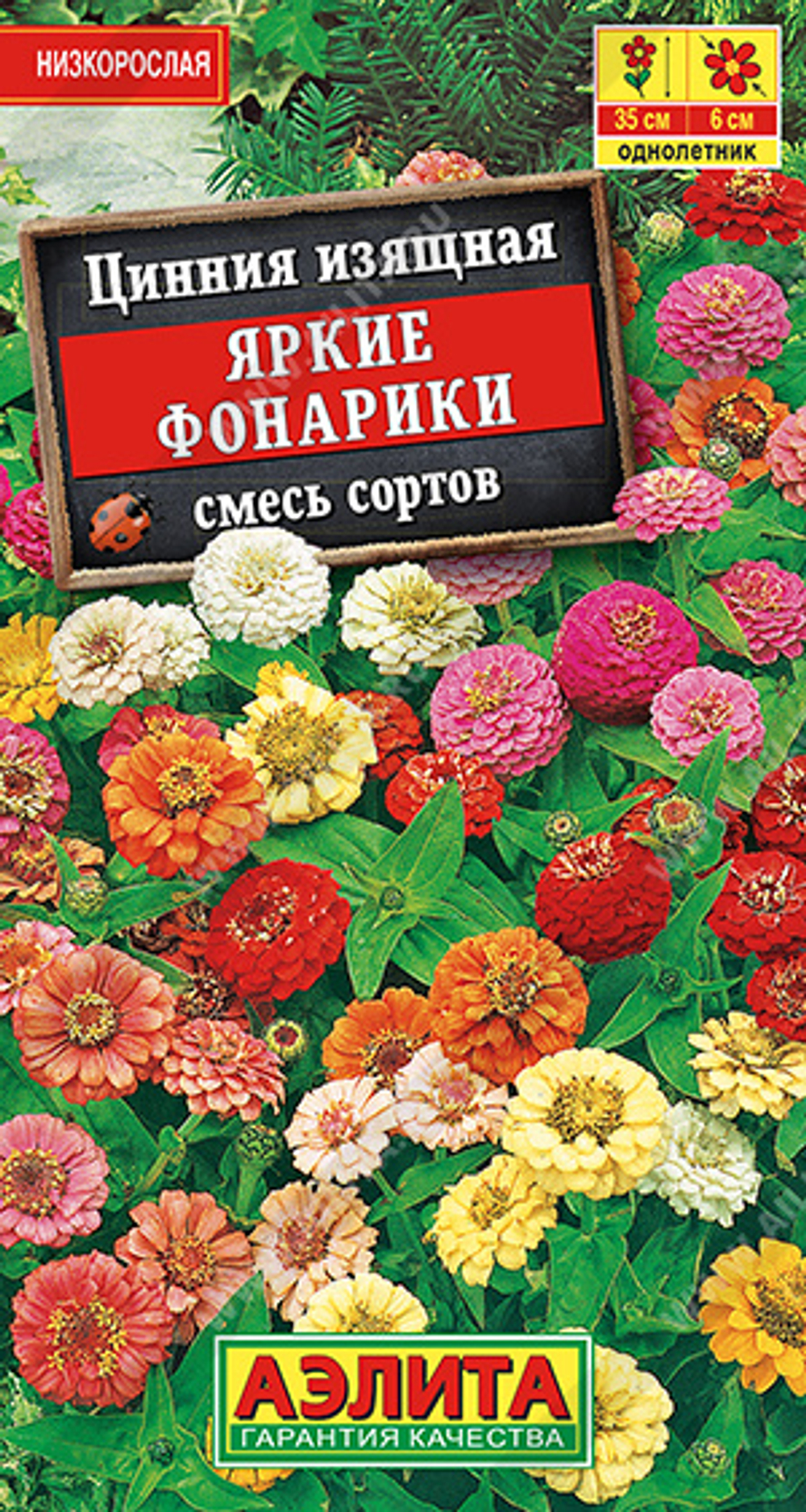Цинния изящная Кактусовидная, смесь сортов