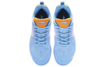 Li Ning Table Tennis Shoes Unisex Low top