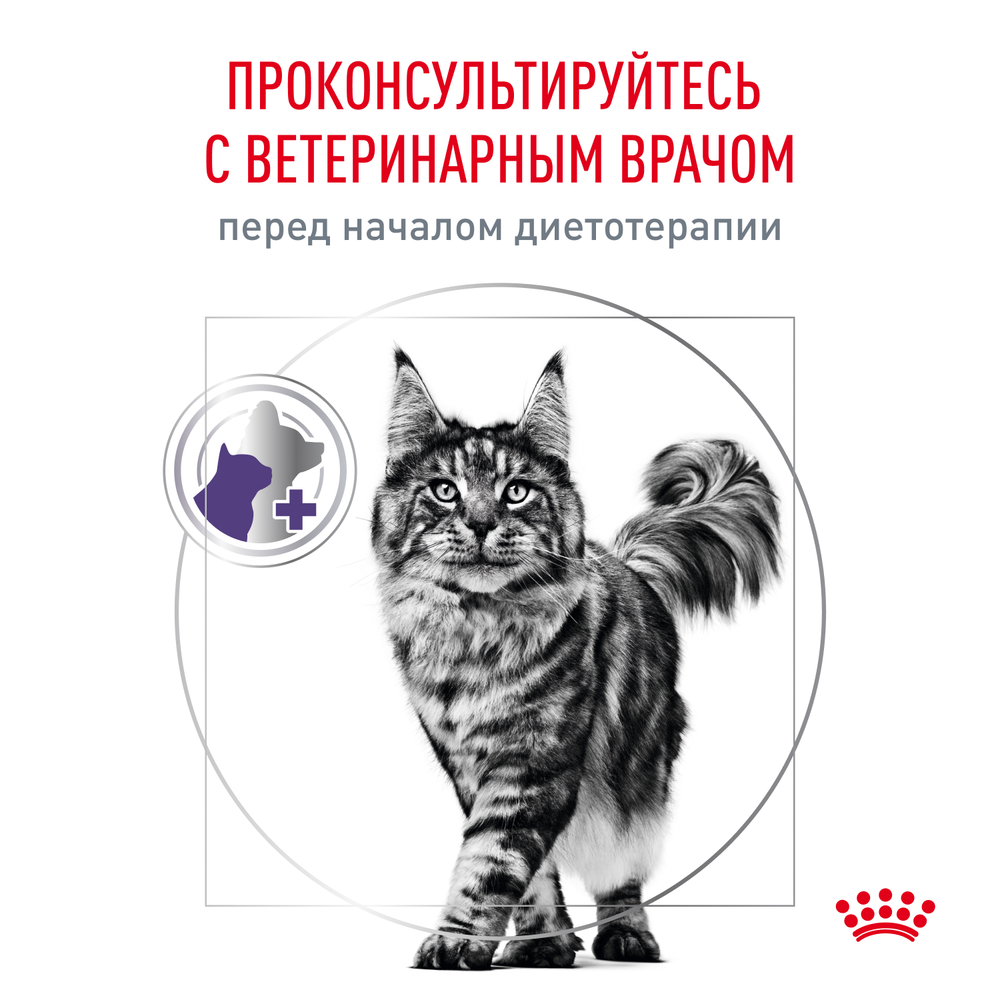 Royal Canin Neutered Balance Ньютрид Бэлэнс Корм влажный для взрослых котов и кошек с момента стерилизации до 7 лет соус 85г