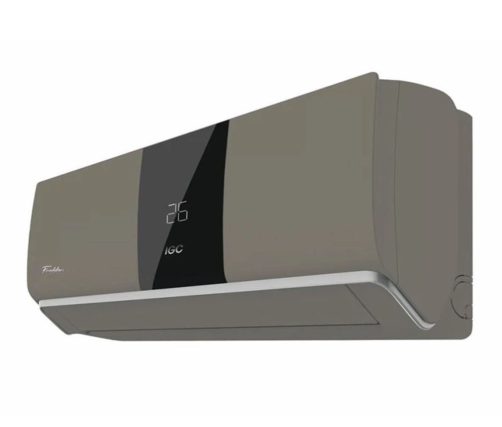 IGC RAS-V12RTF