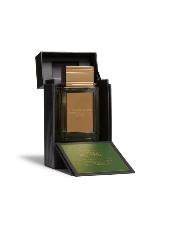 Ermenegildo Zegna Wisdom
