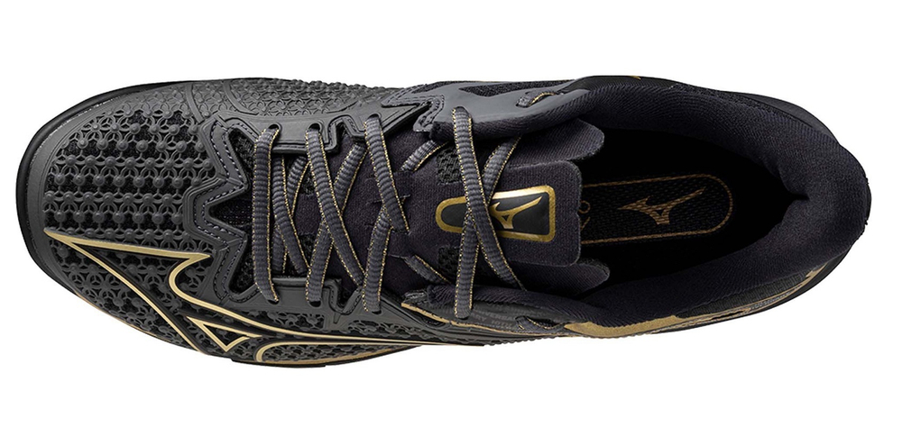 Мужские кроссовки теннисные Mizuno Wave Exceed Tour 6 CC 10TH - черный