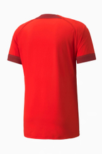 Футболка Puma teamFINAL