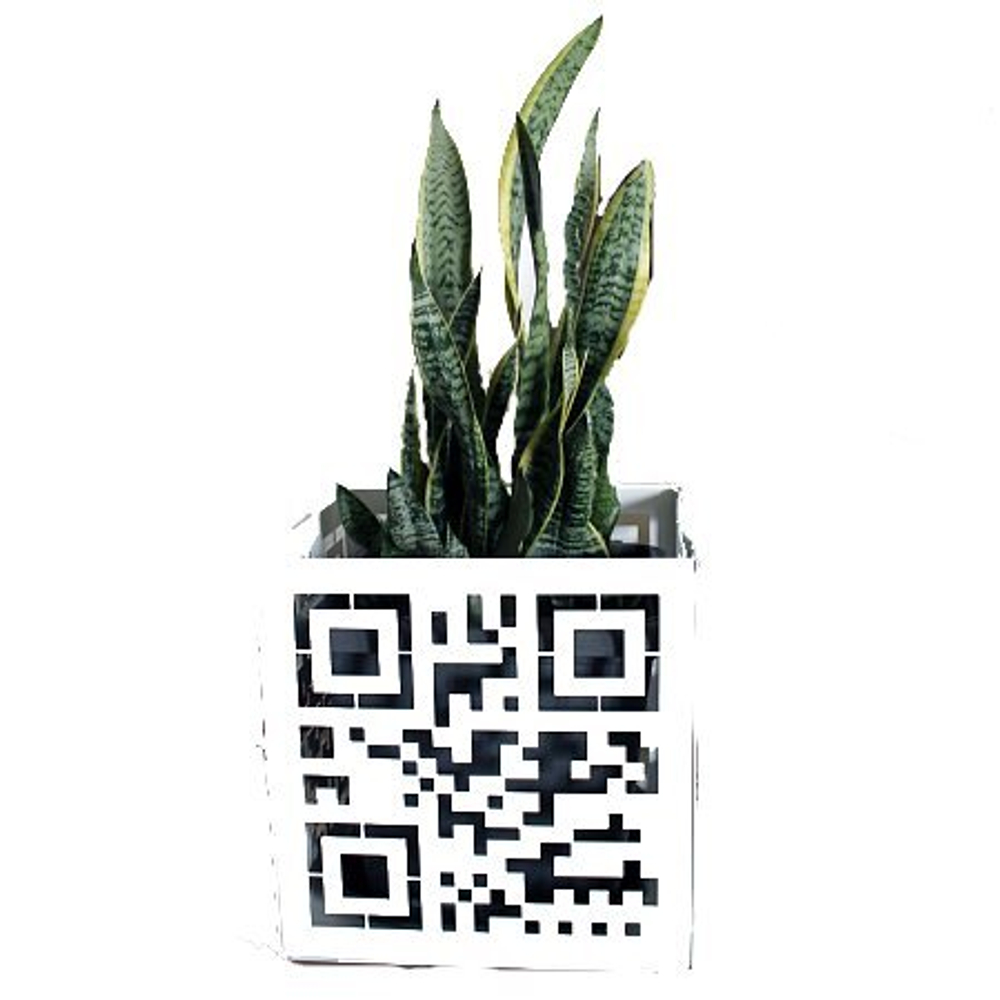 Вазон Code