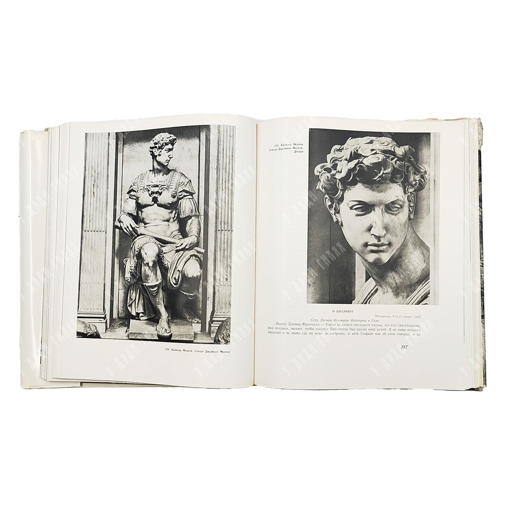 Микеланджело. Жизнь. Творчество. — М.: Искусство. 1964.