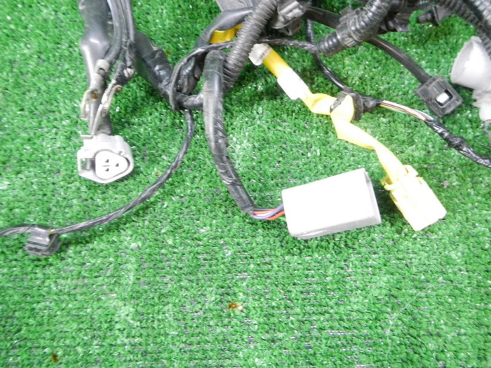 DSCN4440.JPG