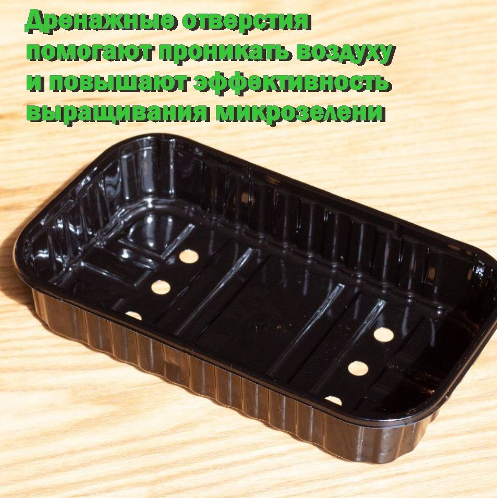 Лотки для выращивания свежей микрозелени черного цвета 180*110*55мм, 10 штук, пластиковые контейнеры для рассады