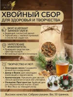 Хвойный побеги, почки,молочные шишки сосны для свечей