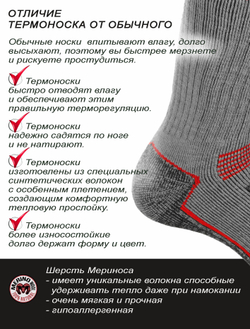 Носки Norfin T4M ARCTIC MERINO HEAVY LONG р.(42-44) L