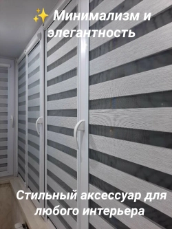 Рулонные шторы День-Ночь Зебра 62х130 см