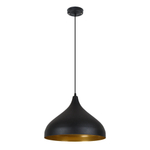 Подвесной светильник Arte Lamp CARMEL A7076SP-1BK