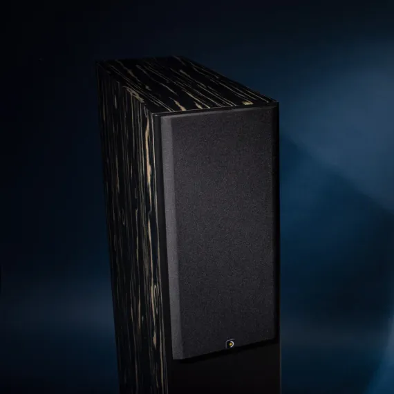 Davis Acoustics MV One Master Ebony
