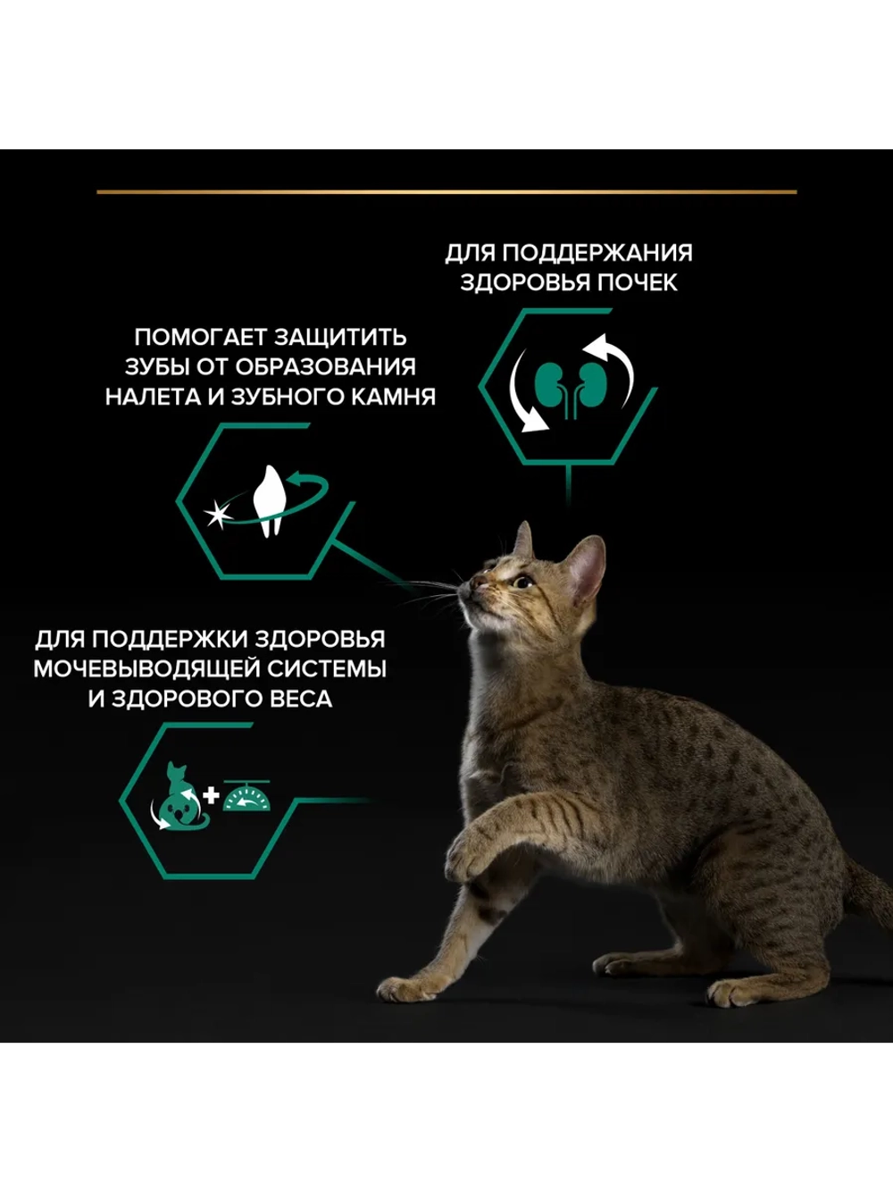 Корм для кошек Лосось 1,5кг