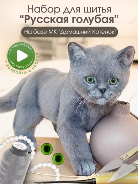 МК с набором для шитья "Реалистичный котенок Русская голубая"