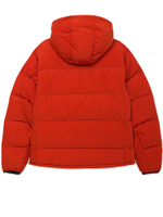 Мужской Пуховик Down Puffer Hooded