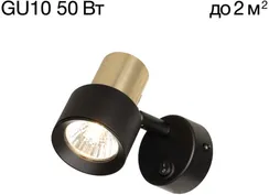 Спот Sat CL505611 Citilux
