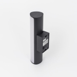 Citilux CLU0007 LED Уличный светильник Графит