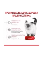 ROYAL CANIN Kitten (Роял Канин Киттен) корм сухой для кошек Kitten 13 кг.