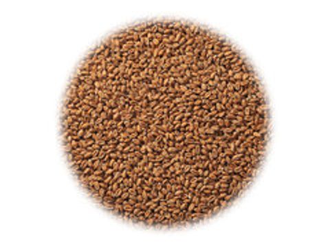 Солод Stamag Weizen (Пшеничный светлый)