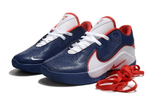 Заказать в Москве Nike LeBron 22 USA PE