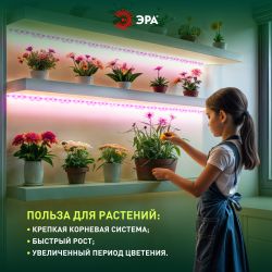 Светодиодная лента для растений ЭРА FITO-Strip Light-RB-45W-5m-12V-IP65 красно-синего спектра 5м IP65 с адаптером 12V | Светодиодные ленты для растений