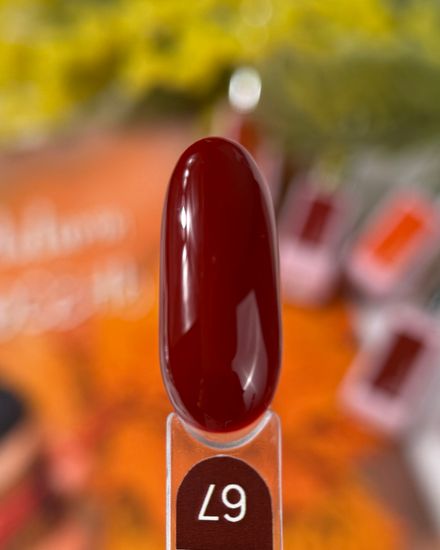 Gel lacquer Galaxy гель-лак 67, 9g