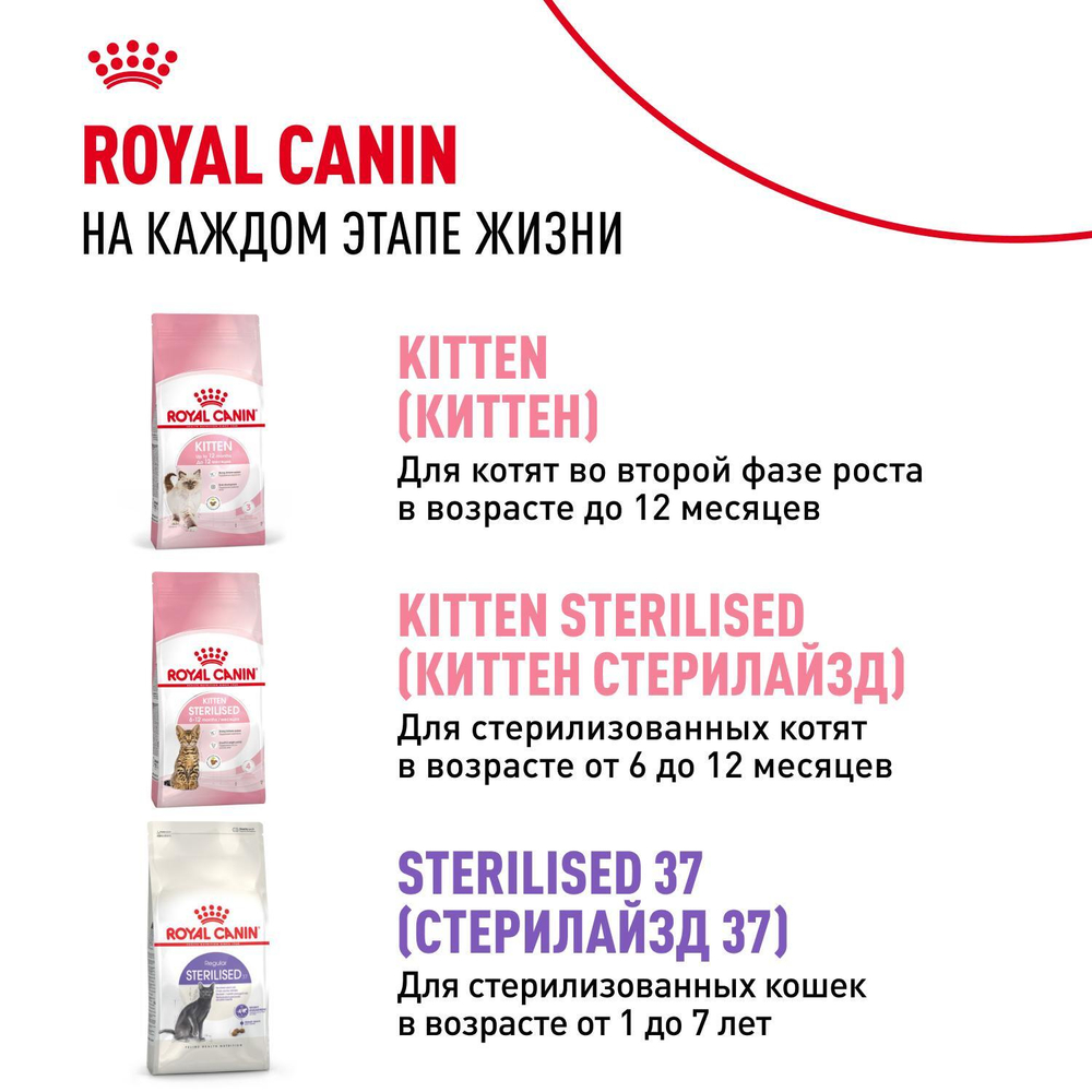 Royal Canin Kitten Киттен Корм влажный для котят в период третьей фазы роста в возрасте до 12 месяцев желе 85г