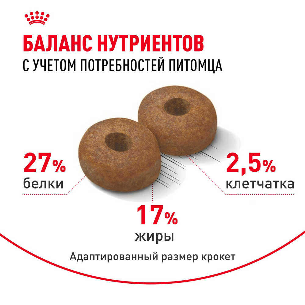 Royal Canin Maxi Ageing 8+ Макси Эйджинг Корм сухой для стареющих собак крупных пород старше 8 лет 3кг