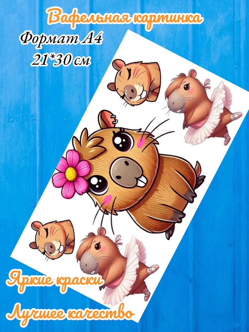 Формат А4 Вафельная картинка, Капибара