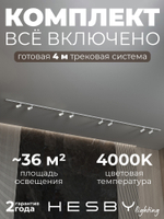 Комплект трековый Hesby Lighting No3 однофазная накладная Skylite HSBL_kompl_S003_NI4W4K
