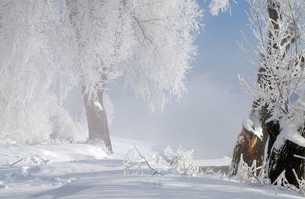 Русская зима и восточный бренд Amouage