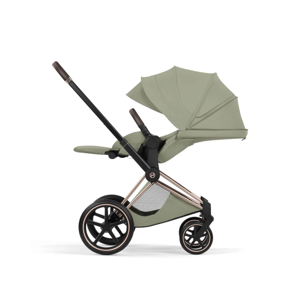 Детская коляска Cybex Priam V Style 2 в 1 Sage Green