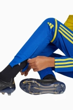 Штаны adidas Squadra 25 Training Junior - синий