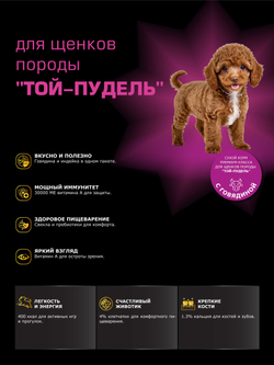 Quattro корм для щенков породы Той-пудель, с говядиной, 6 кг, QUATTRO