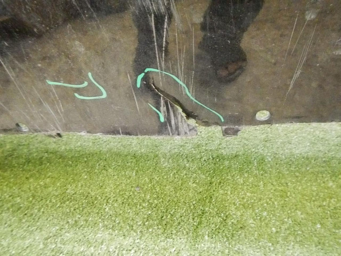 DSCN9709.jpg