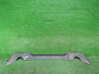 DSCN9751.JPG