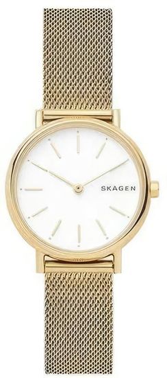 Женские часы Skagen SKW2693