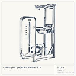 Гравитрон профессиональный 09 — от 183 000 ₽