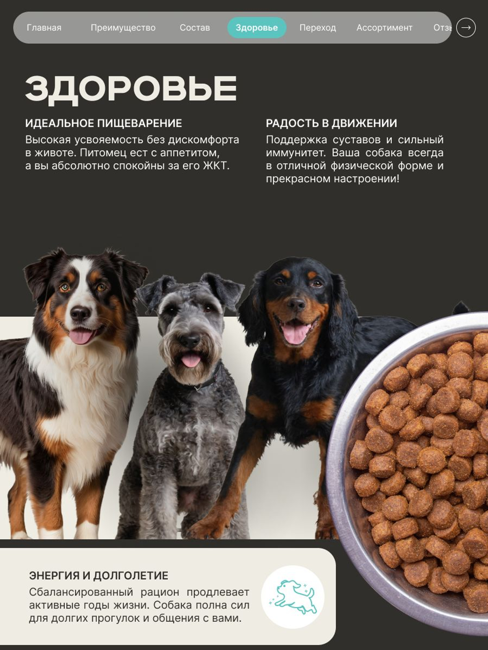 Корм сухой для собак средних и крупных пород, здоровье кожи и шерсти, с кроликом, 3 кг, QUATTRO