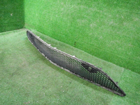 DSCN1559.JPG