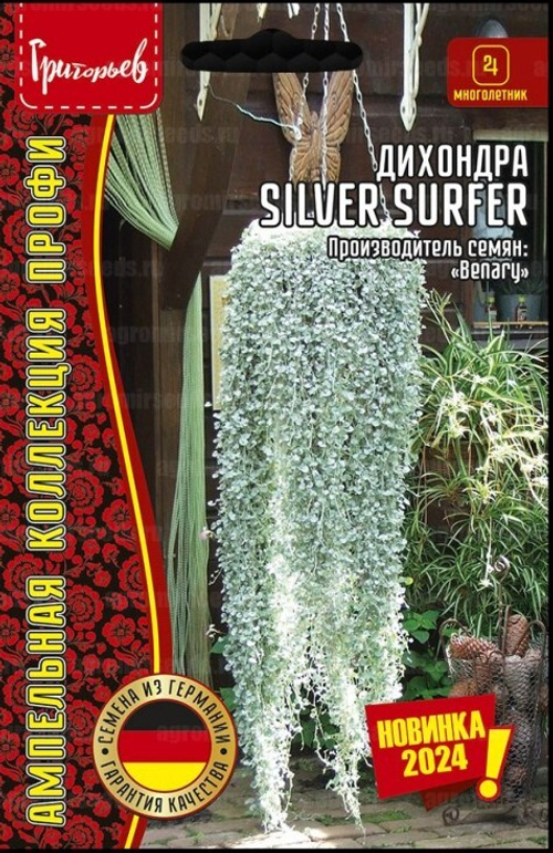 Дихондра Silver Surfer