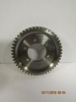 Шестерня привода ТНВД TDQ 20, 25 4L/Timing gear of fuel pump (2409000200300,QC490Q(DI)-02003)