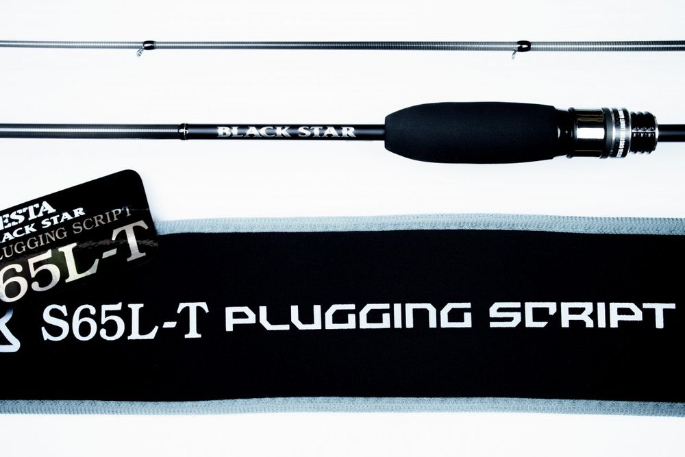 Удилище Спиннинговое Xesta Black Star 2025 S65L-T Plugging Sqript