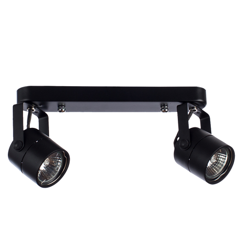 Потолочный светильник Arte Lamp MIZAR A1311PL-2BK