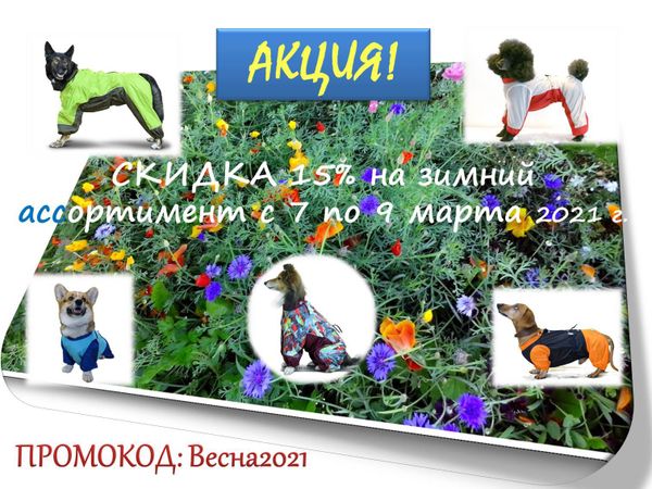 Акция с 8 марта! Акция с 8 марта!