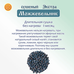 Можжевельник ягода