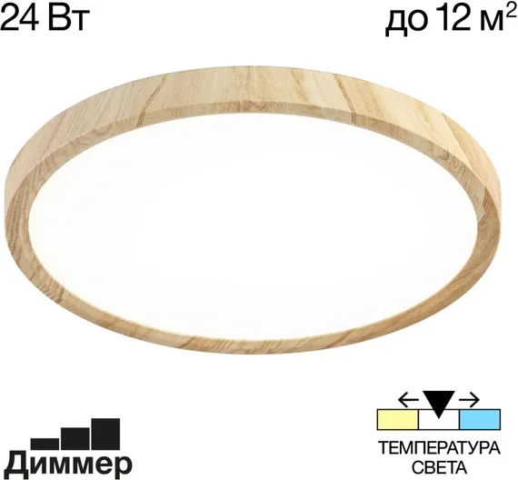 Настенно-потолочный светильник Бейсик CL738242V Citilux