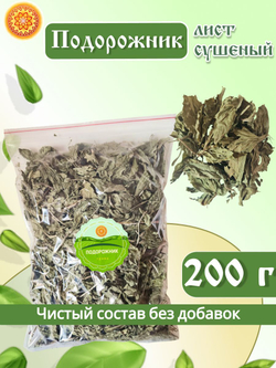 Подорожник сушеный.